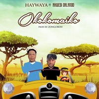 Okokomaiko (feat. Akwesi Orlando) - Single - Haywaya