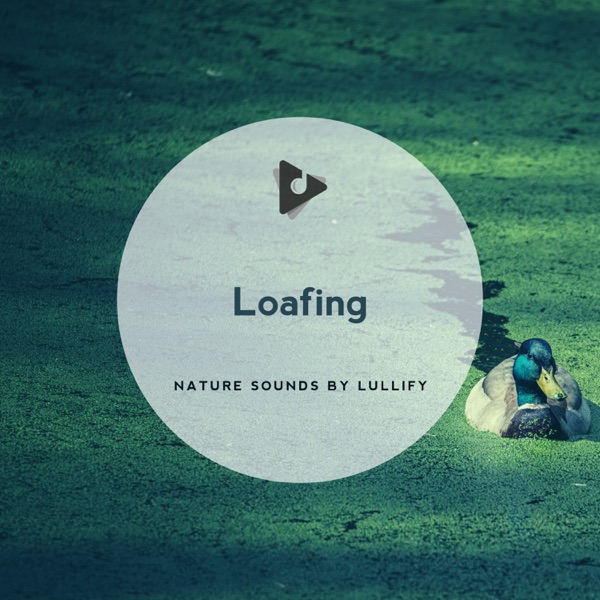 Loafing