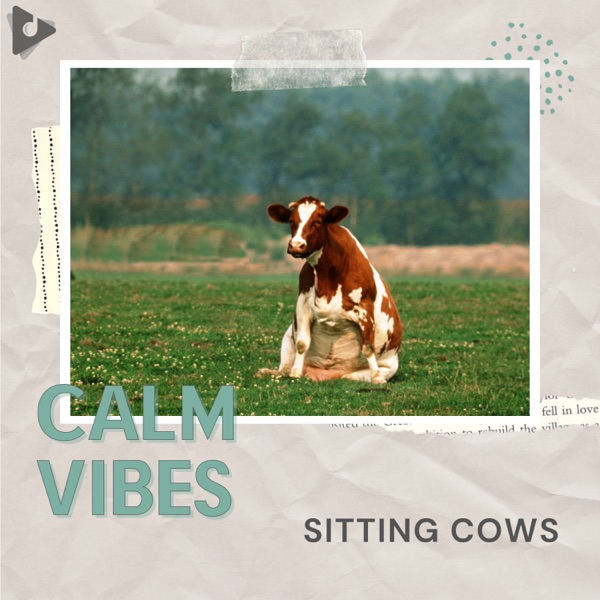 Sitting Cows - EP