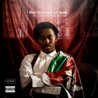 Tha Revenge Iz Now - $moller