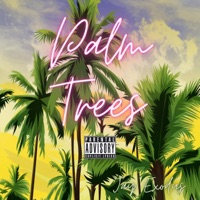 Palm Trees - Single - Jay Exodus
