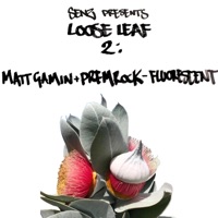 Fluorescent (feat. Matt Gamin & PremRock) - Single - Senz Beats