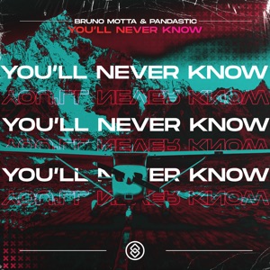 You'll Never Know - Single