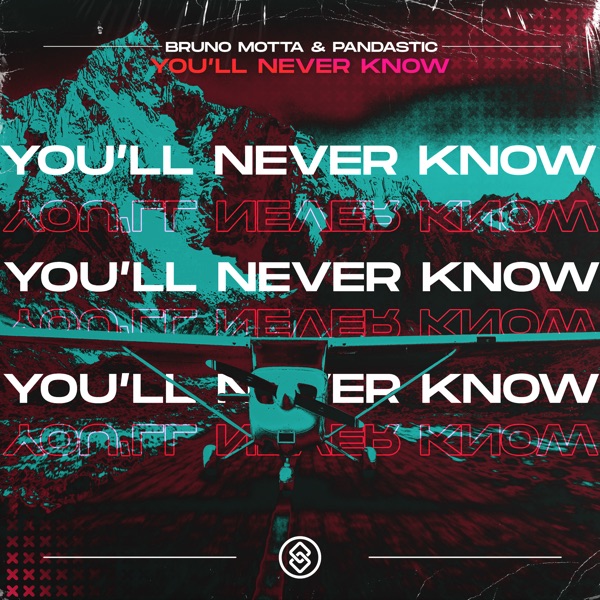 You'll Never Know - Single