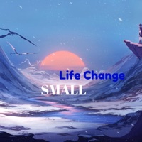 Small - Single - Life Change