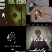 Hokus Pokus (Freestyle) - Single - Mr. Echo