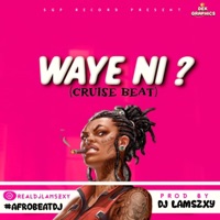 Waye Ni? Beat - Single - Dj Lamszxy