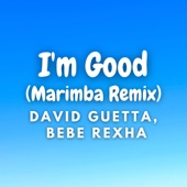 I'm Good (Marimba Version) artwork