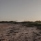 Coastland - Goldusk lyrics