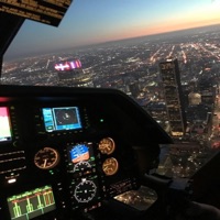 Murder What She Wrote 4 - Single - LOE Pookie