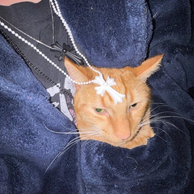 FLAIR (feat. Bloo) - Single