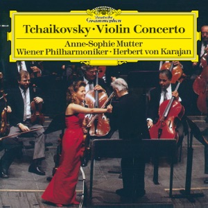 Violin Concerto in D Major, Op. 35: I. Allegro moderato (Live)