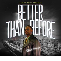 Better Than Before (feat. Slick Ninja) - Single - Wasepe Music