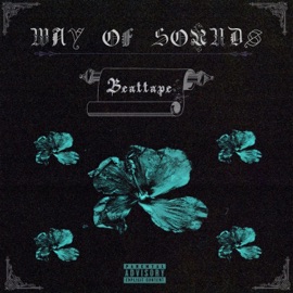 21 Can You Do Something? (yz) scorpio prodz & Yz