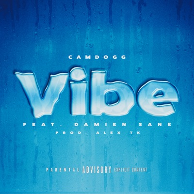 Vibe (feat. Damien Sane) - Single