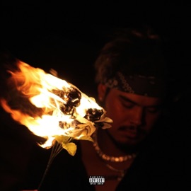 PAST LIFE (feat. myfrndoliv3) Jesse Commas