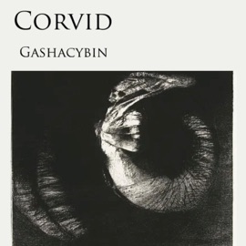 Marrow Gashacybin