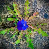 Get the Soul Back In Your Sound — Casey McBride