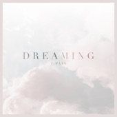 Dreaming artwork