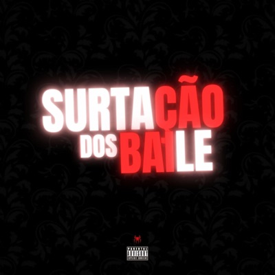Surtação Dos Baile (feat. Dj Dg Do Sn) - Single