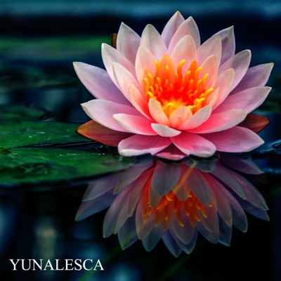 Yunalesca - Single