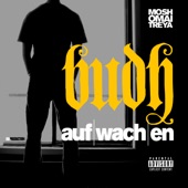 budh -aufwachen (Radio Version) artwork
