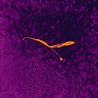 Morph (feat. Philip Czarnecki) [re·imagined] - Single