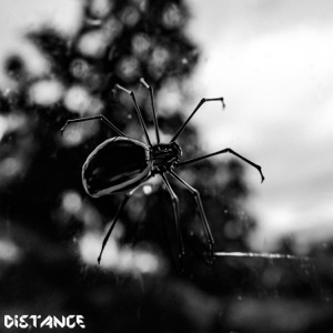 Crawler - Single