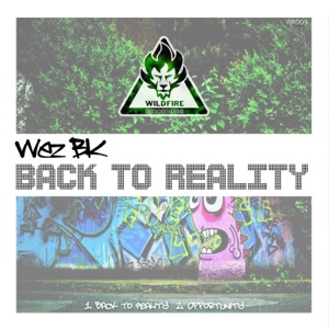 Back to Reality - Single