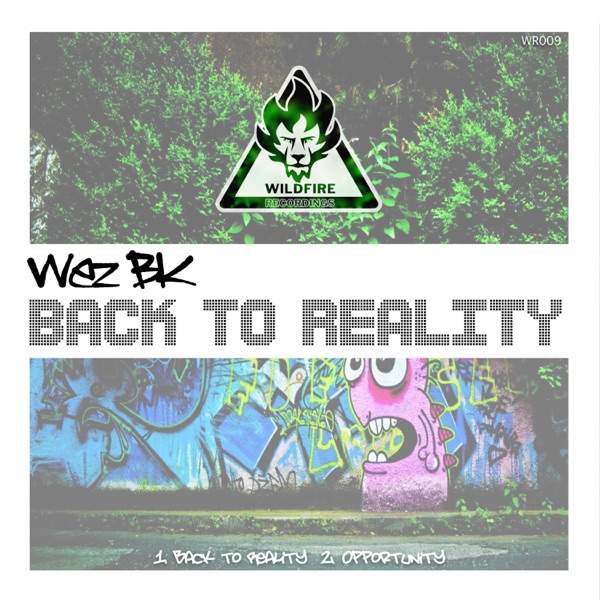 Back to Reality - Single