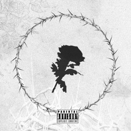 I need to get back to you I'Do$$