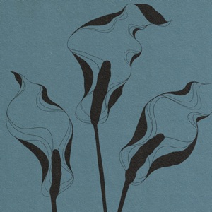 come clean - Single