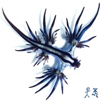 Winter Files - Single - Hiro Savage