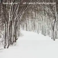 All I Want (For Christmas)