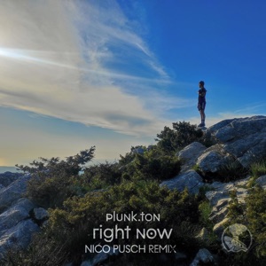 Right Now (Nico Pusch Remix) - Single