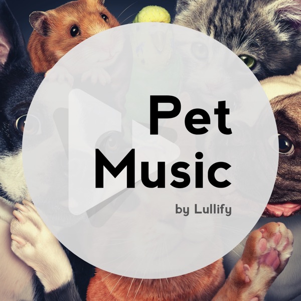 Pet Music by Lullify's avatar