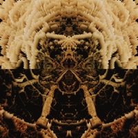 weedman (feat. Supbox) - Single - J. Diceman