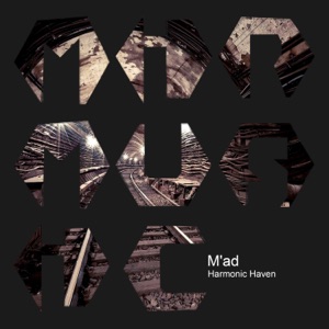 Harmonic Haven - Single