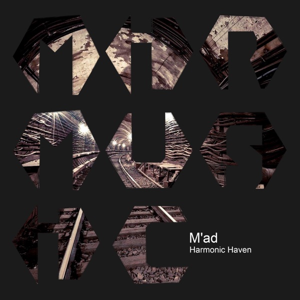 Harmonic Haven - Single