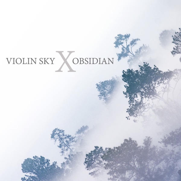 Obsidian - Single