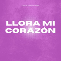 Llora Mi Corazón - Single - Salsa Urbana Pal Mundo, Yade & YAMPPY URBAN
