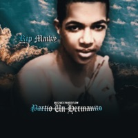 Partio Un Hermanito (feat. Pander Flow) - Single - masi mc