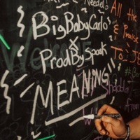 Meaning (feat. Prod By Spook) - Single - BigBabyCarlo