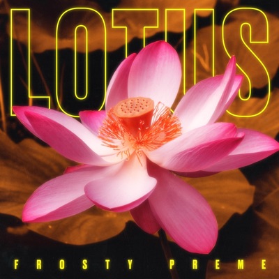 Lotus - Single