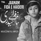 Jaanam Fida E Haideri artwork