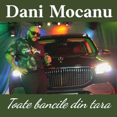 Song - Toate Bancile Din Tara - Dani Mocanu