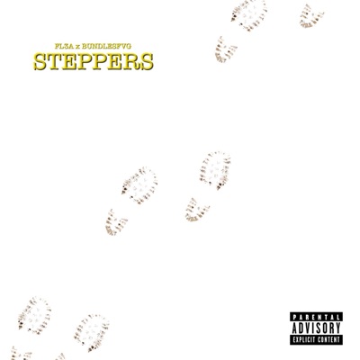 STEPPERS (feat. BUNDLESFVG) - Single