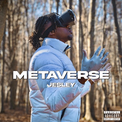 Metaverse - Single