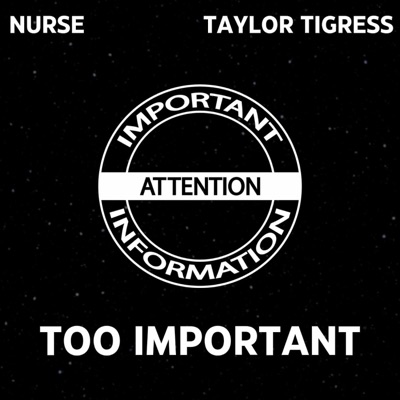 Too Important (feat. Taylor Tigress) - Single