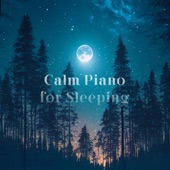 Calm Piano for Sleeping artwork